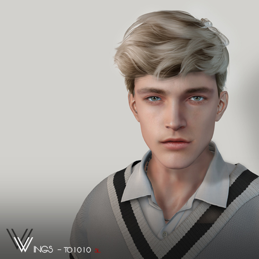 Second Life Marketplace WINGSHAIRTO1010 Gray (Pack)
